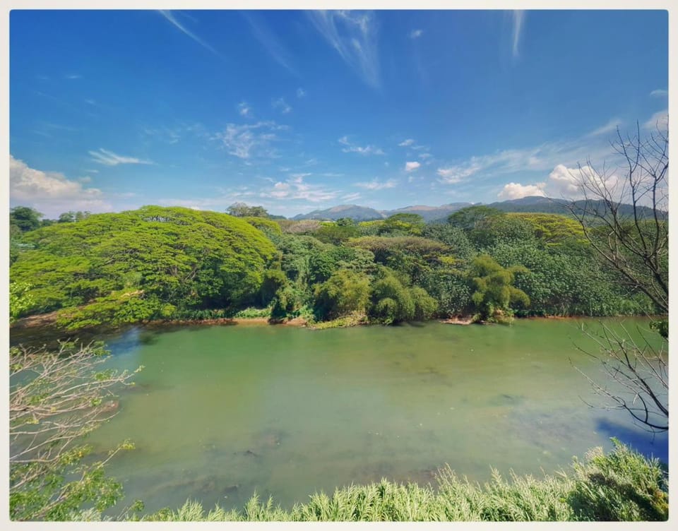 Hanthana Mount View Vacation rental in Gangawatakorale