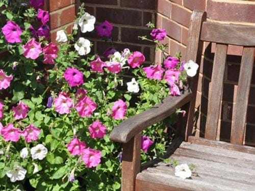 Honey Lodge Bed and Breakfast in Poole