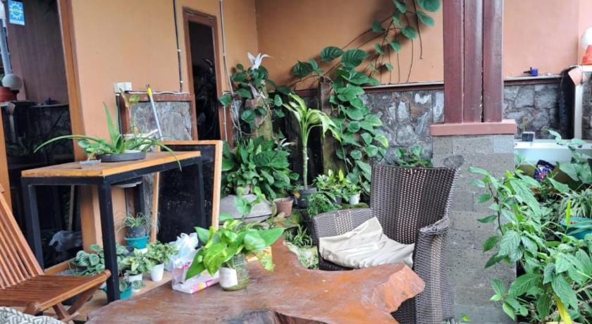 Mocca Guest House Bed and Breakfast in East Java