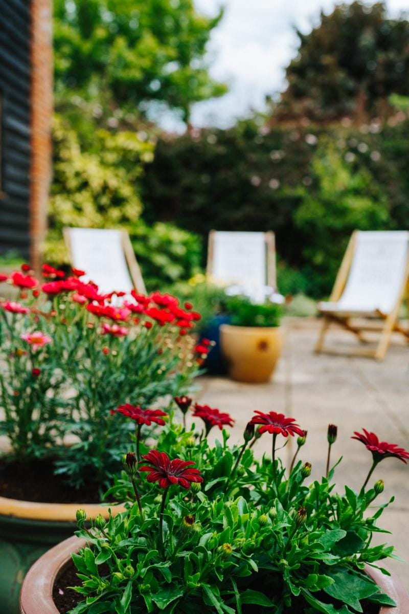The Bull Inn Bed and Breakfast in St Edmundsbury District