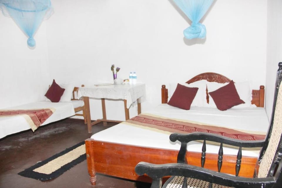 Old Dutch House Bed and Breakfast in Galle