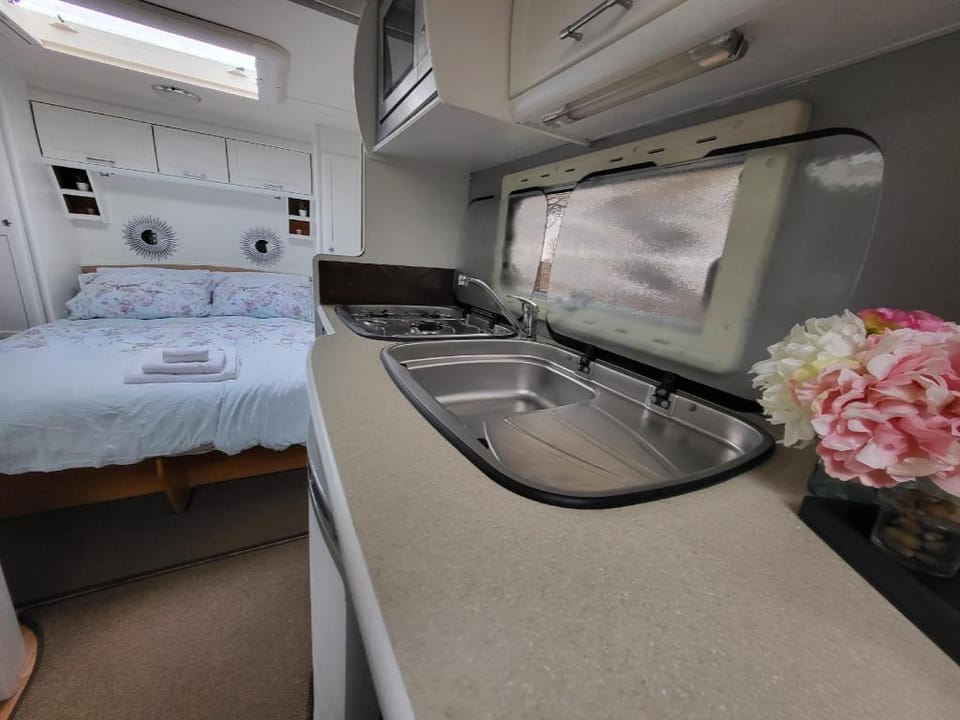 Glamping with Llamas Farm Stay in England