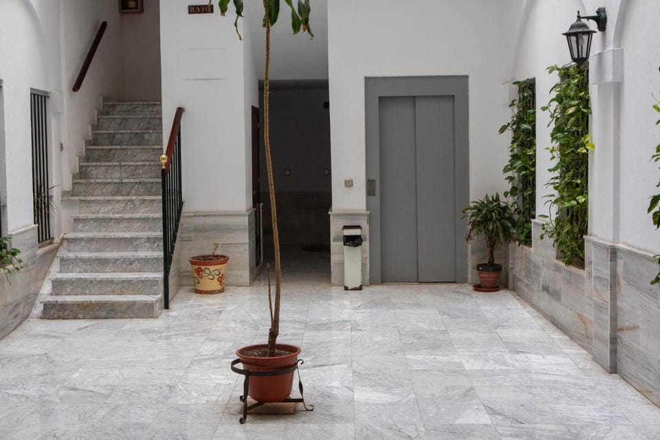 La Terraza del Drago Apartment in Cadiz