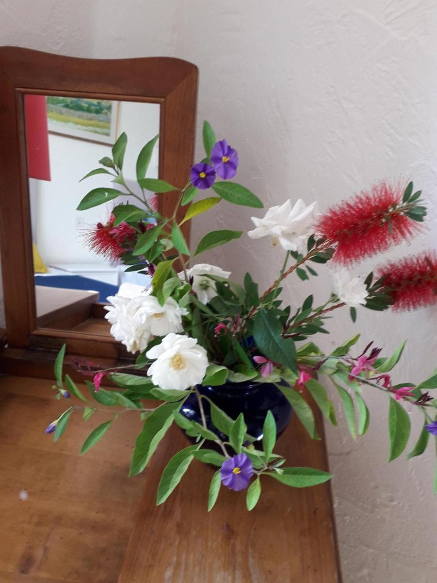 Villa Fontane Provence Bed and Breakfast in Grimaud