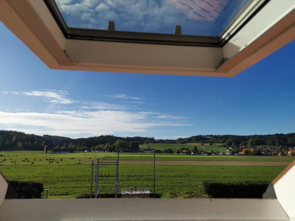 Boutique Hotel BS16 before Bern City Parking gratis Hotel in Canton of Bern (Region)