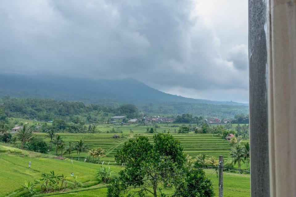 Adhi Jaya Suite Bed and Breakfast in Bali