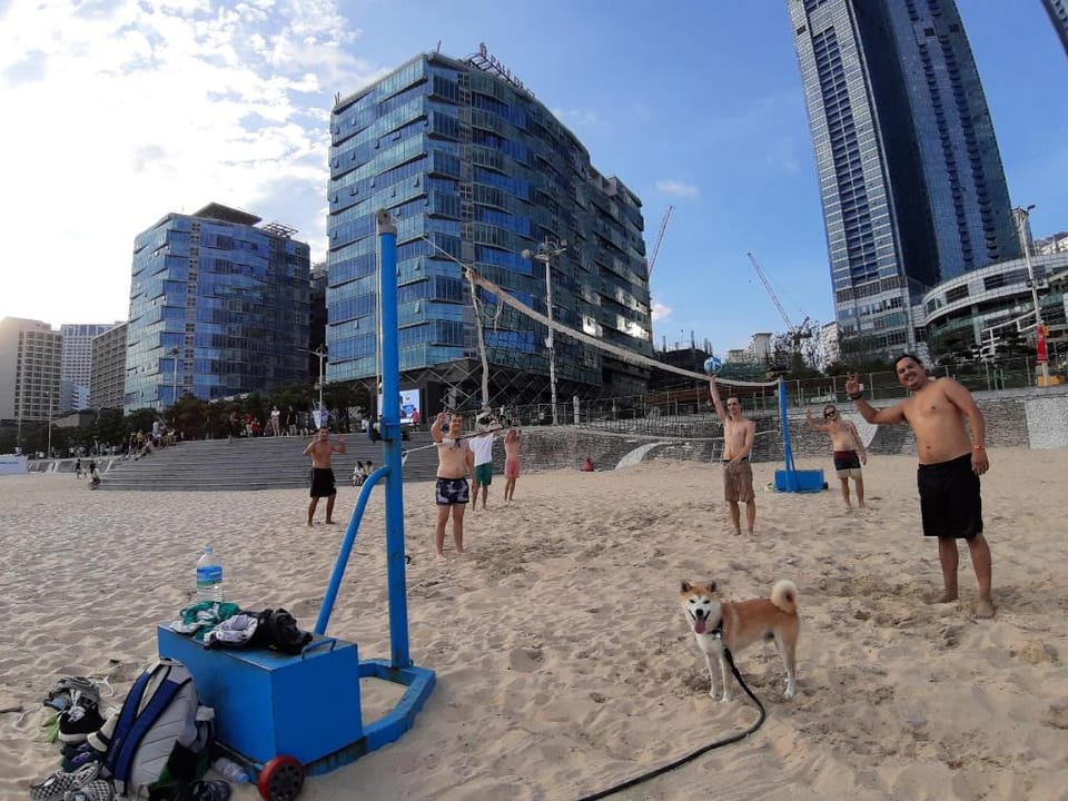 Kimchee Haeundae Guesthouse Bed and Breakfast in Busan