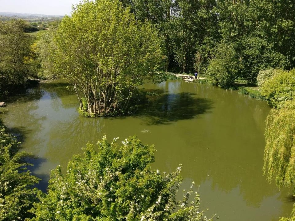 The Chiltern Lodges at Upper Farm Henton Farm Stay in Wycombe District