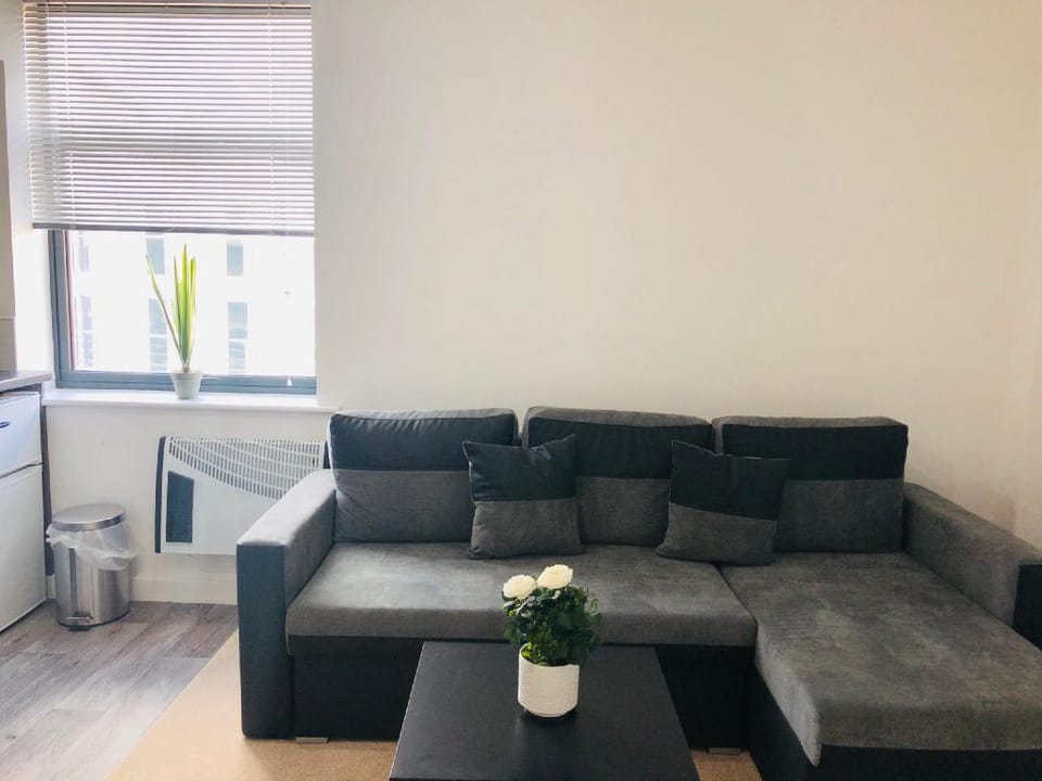 Showcase Apartments - Highcross House Apart Hotel Apartment in Leicester