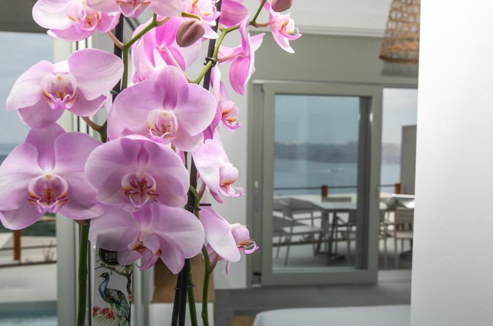 Melidonia Suites Hotel in Santorini