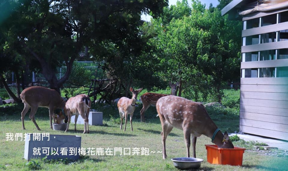 頌謙文旅 梅花鹿同住 Bed and Breakfast in Fujian