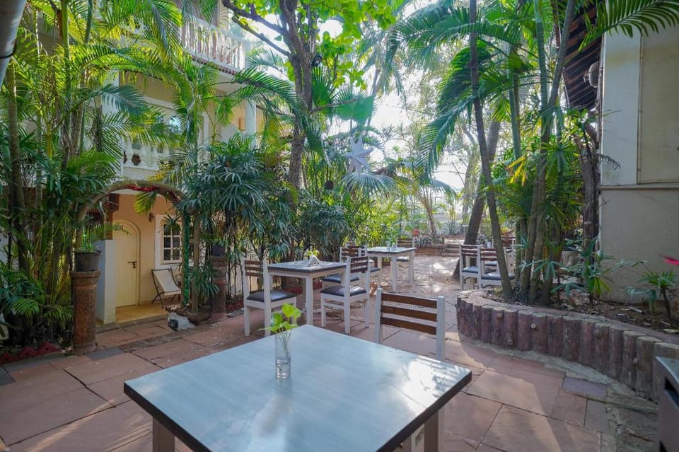 Olive Hotel Alidia Beach Resort by Embassy Group Resort in Baga