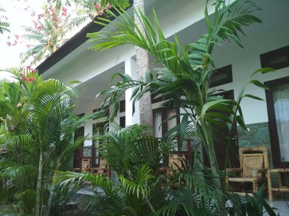 ALMAIDA II Gili Trawangan Bed and Breakfast in Pemenang