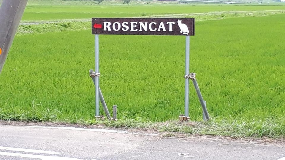 Rosencat Farm Stay in Japan
