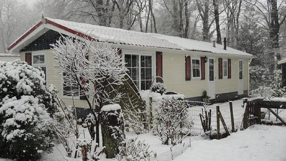 Terrace Apartment with Lush Garden Vacation rental in Epe