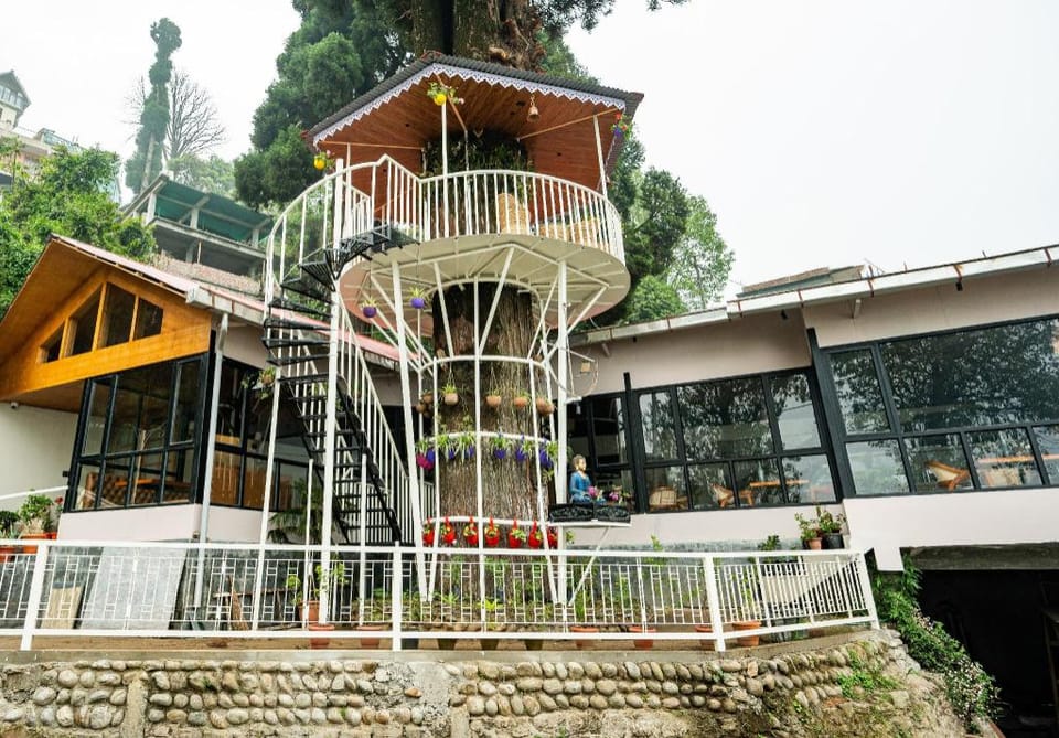 Arcadia Heritage Property Resort in Darjeeling