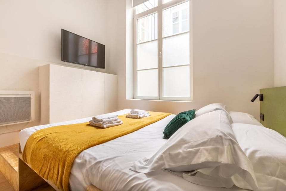 Au Chat Qui Dort Lille - Magasin Apartment in Lille