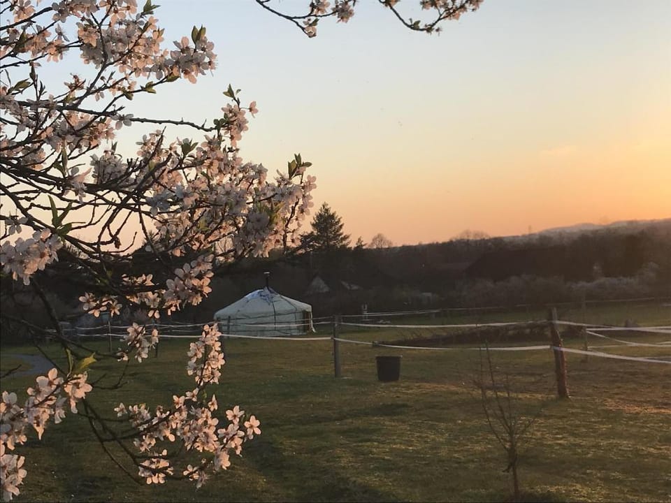 Yourte Mongole Luxury tent in Bourgogne-Franche-Comté