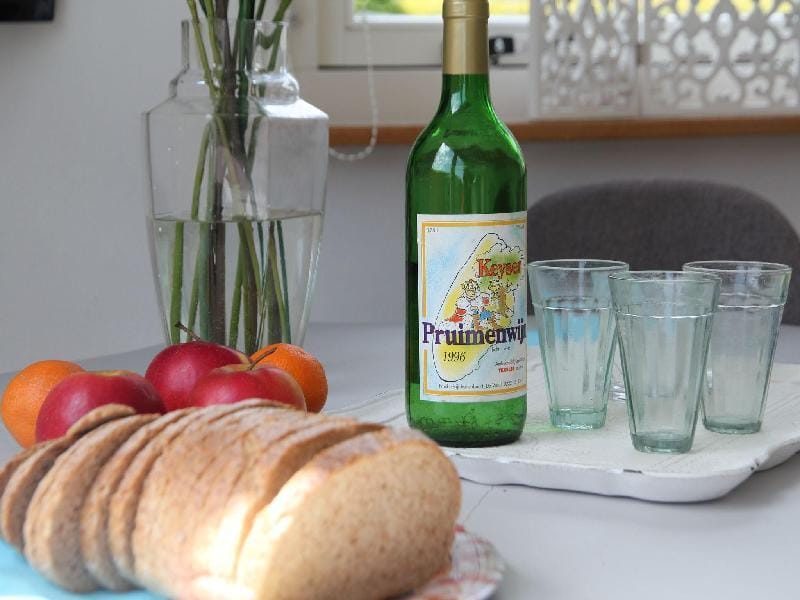 Pet-Friendly Bungalow Vacation rental in North Holland (province)