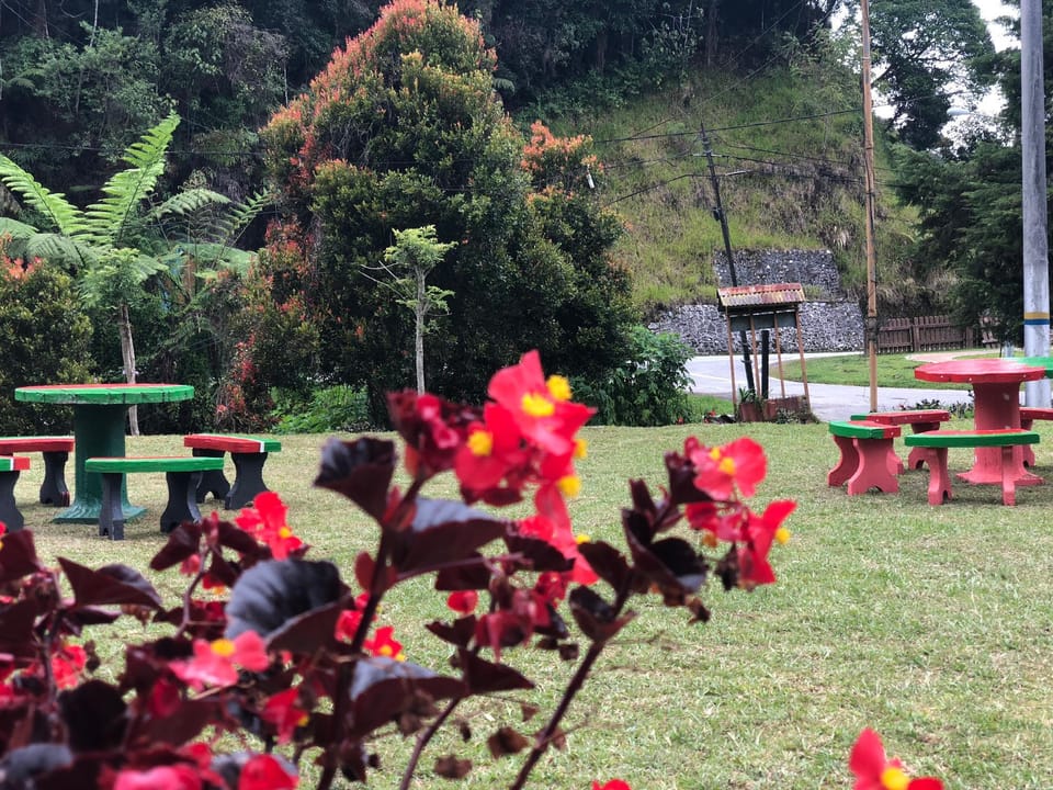 Tanah Rata Villas Villa in Tanah Rata