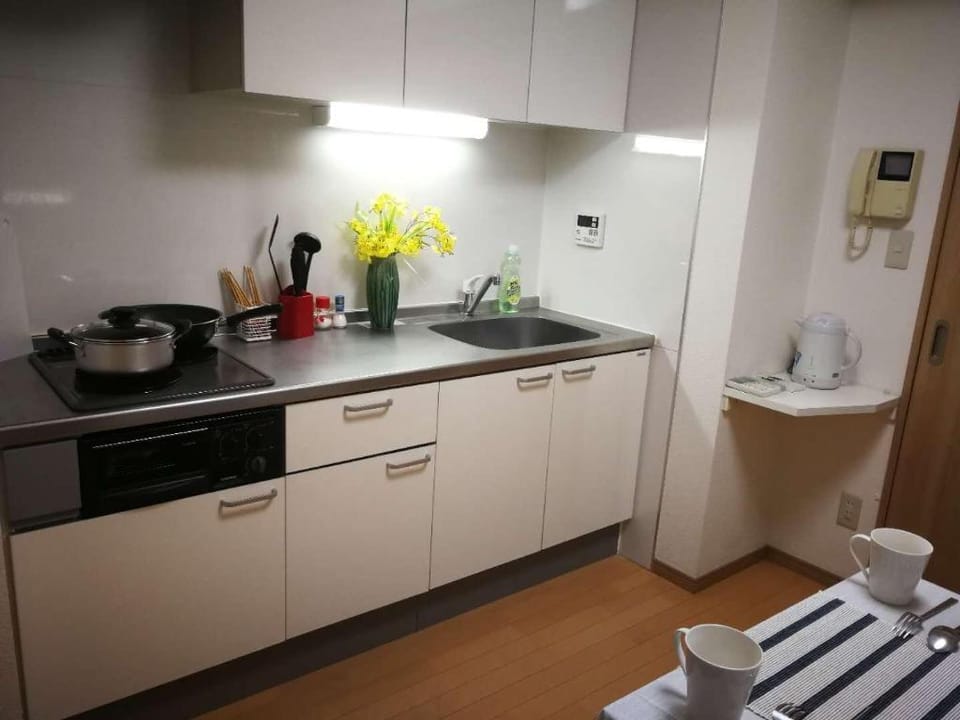 Great View & access Free Wifi house in Shinjuku M Apartment in Shibuya
