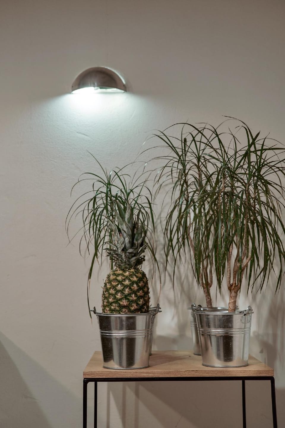 Funky Flat Apartment in Sofia