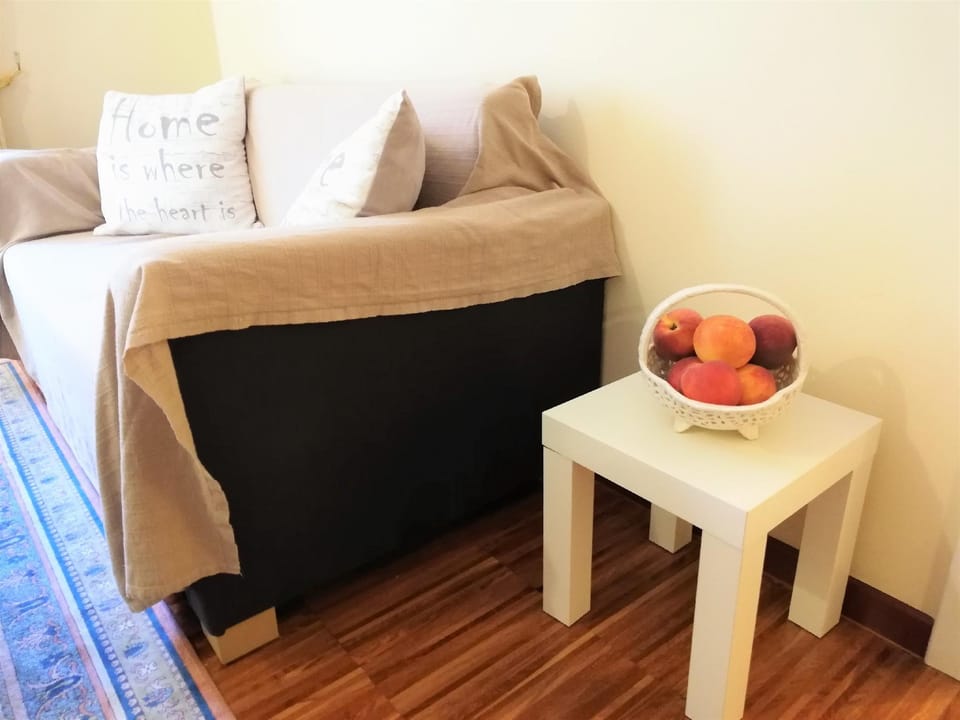 Gratitude and Harmony Wellstay in old Ljubljana* Apartment in Ljubljana