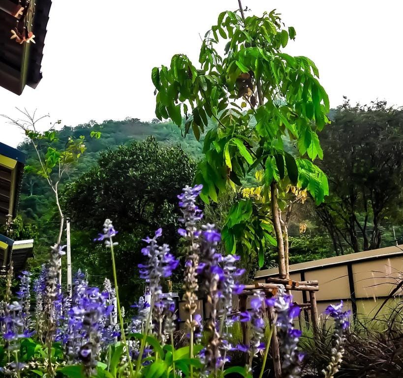 BaanJome Khaoyai บ้านโจมเขาใหญ่ Vacation rental in Laos