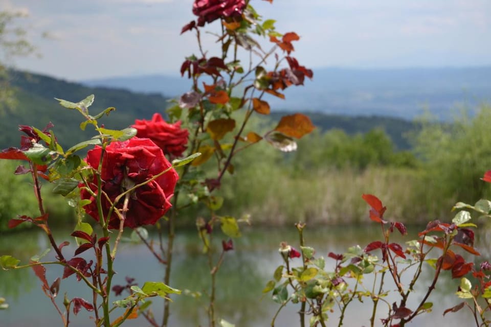 3 rooms flat in a green Tuscany valley Apartment in Tuscany