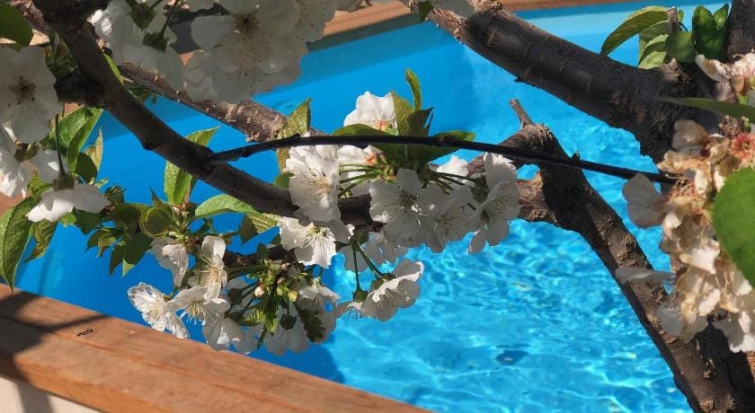 Authentic  Modernist villa in Barcelona city. Villa in Barcelona