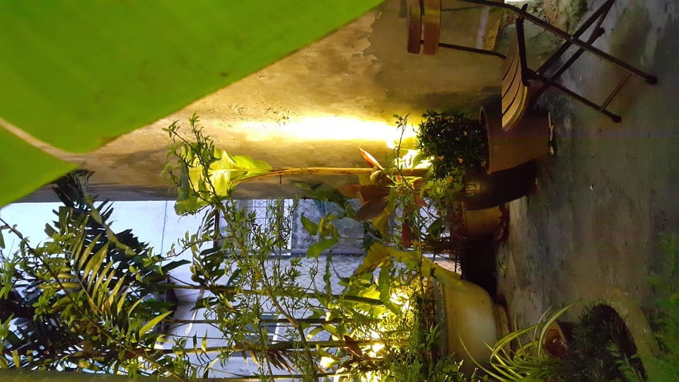 Green Mosaic - the garden house 01 Apartment in Hanoi