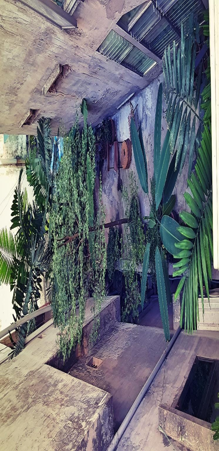 Green Mosaic - the garden house 01 Apartment in Hanoi