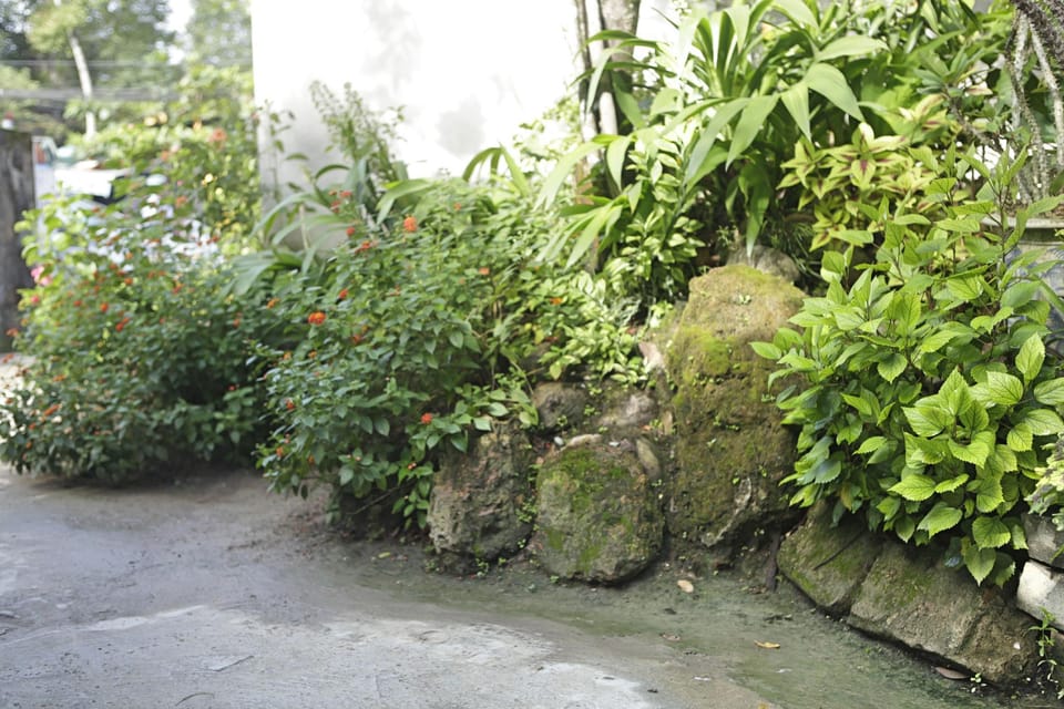 Khanh's Home-Spring Room Vacation rental in Laos