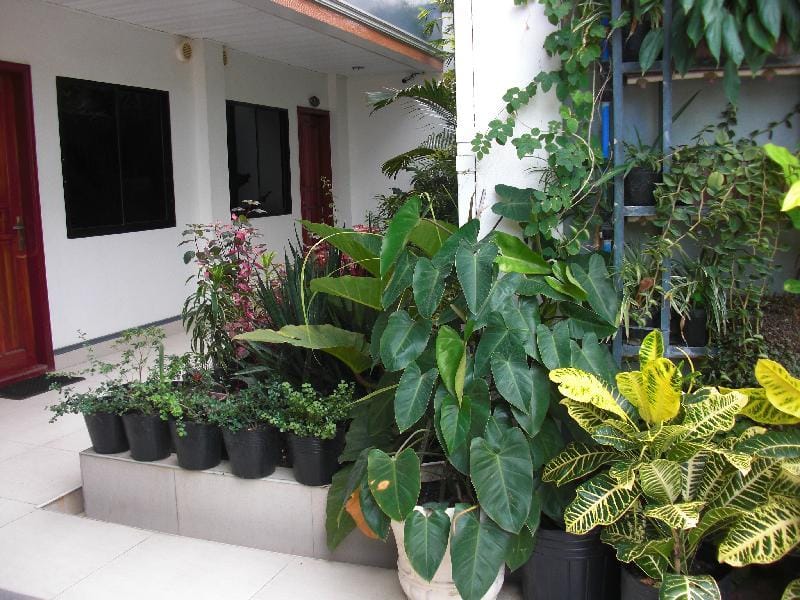 Red Apartelle Apartment in Central Visayas