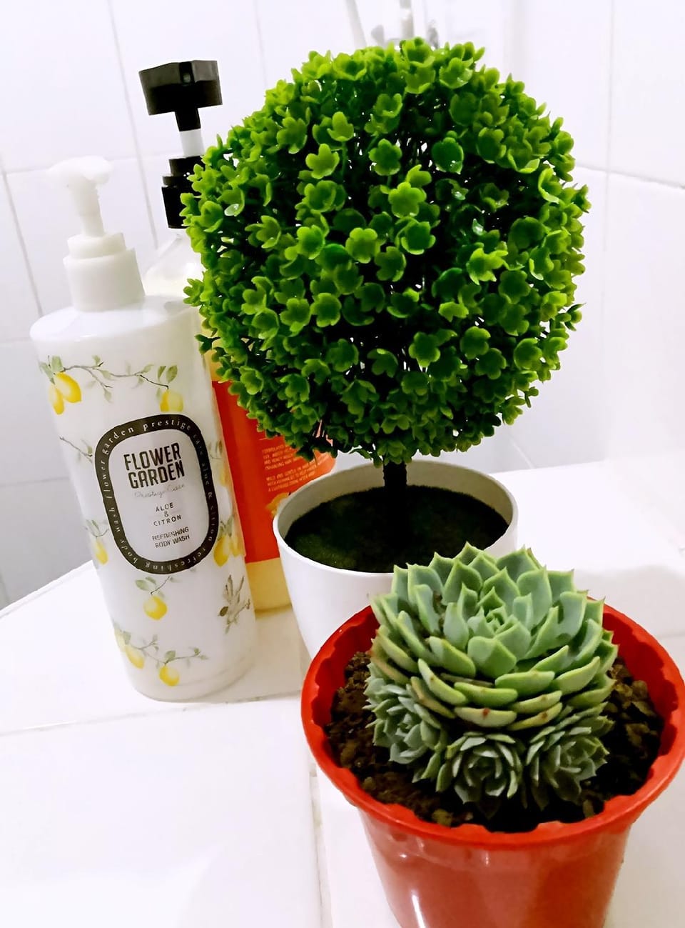 PLANT Homestay KK Town 6-8pax Apartment in Kota Kinabalu