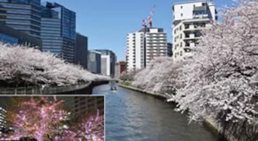Newly Opend,Shinagawa 5 mins Shibuya 7 mins, Onsen Apartment in Kanagawa Prefecture