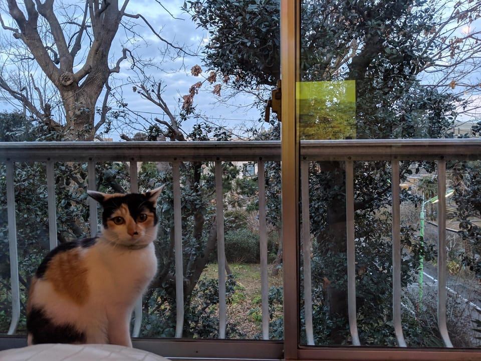 20mins to Shibuya, Urban Nature LIFE in TOKYO Vacation rental in Kanagawa Prefecture
