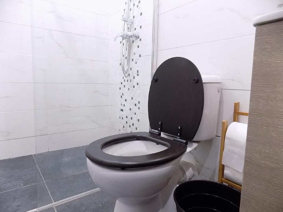 Maison Roosevelt - Charleroi Airport Apartment in Charleroi