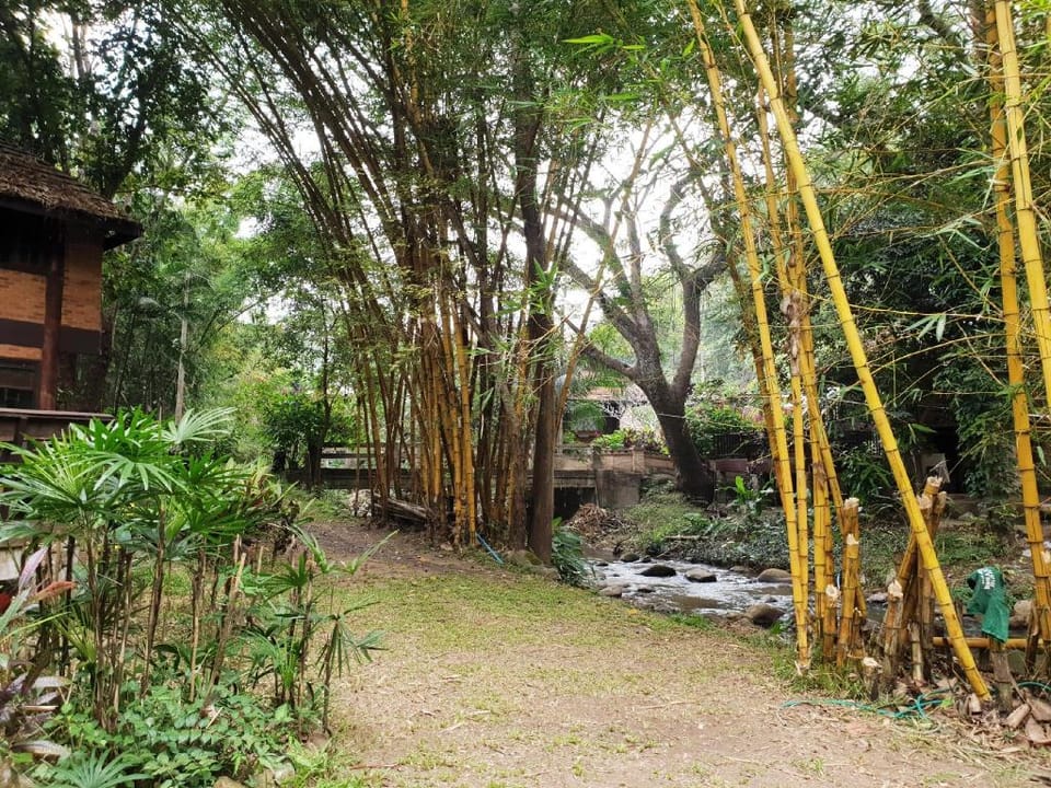 Private House Cottage Style, Surrounded by Stream Vacation rental in Thailand