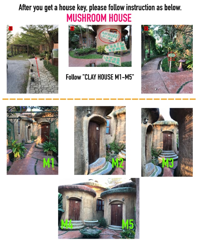 Leafy Greens M1 Vacation rental in Chiang Mai