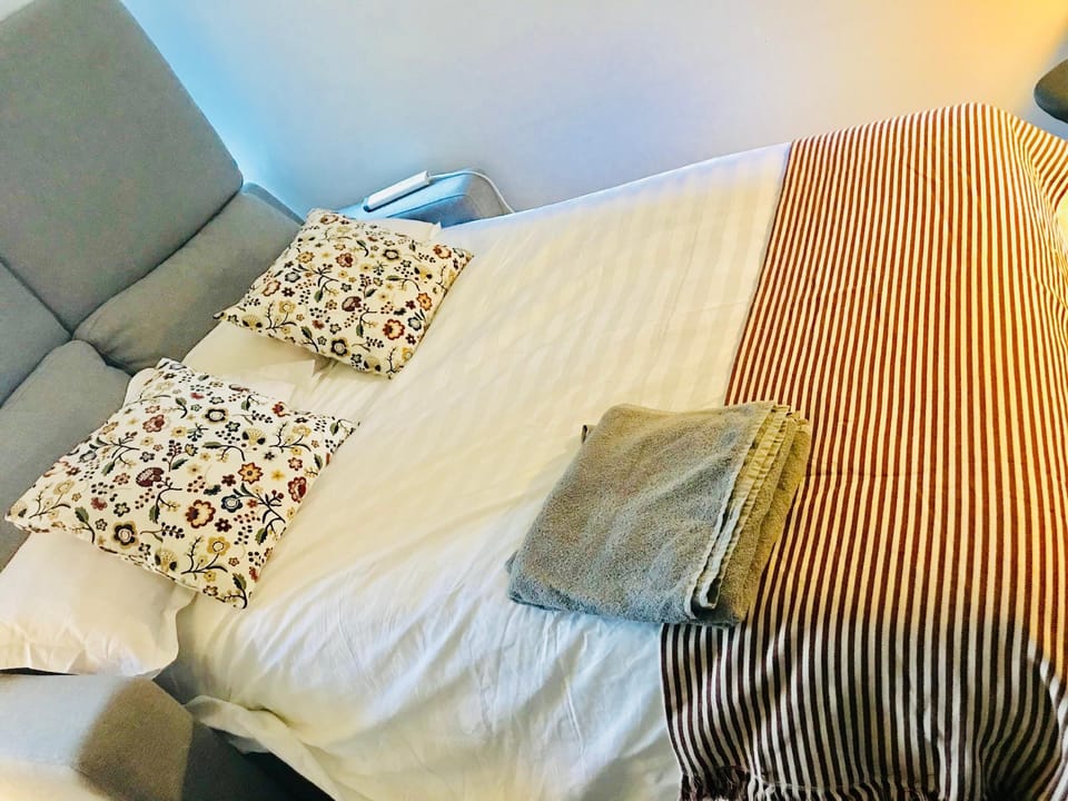 AUSP32-C CBD private room cozy apt free tram zone Apartment in Melbourne