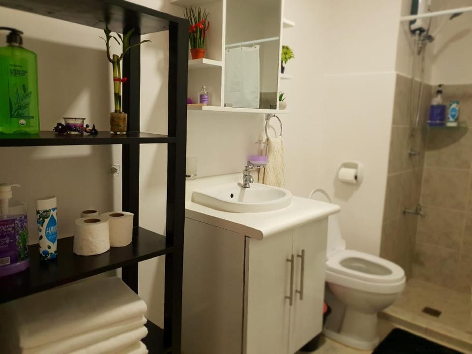 Ayala-Amaia Condo in the Heart of Bacolod City Apartment in Bacolod