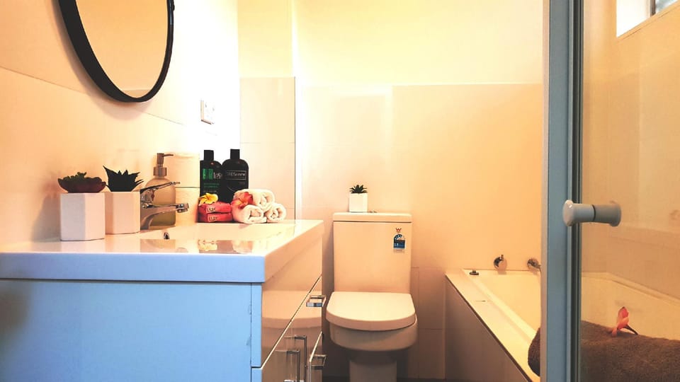 Newly Renovated 2 Bedroom Apartment near Airport Apartment in Sydney