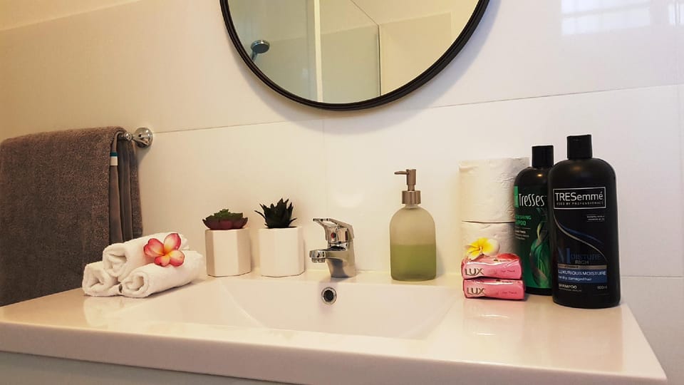 Newly Renovated 2 Bedroom Apartment near Airport Apartment in Sydney