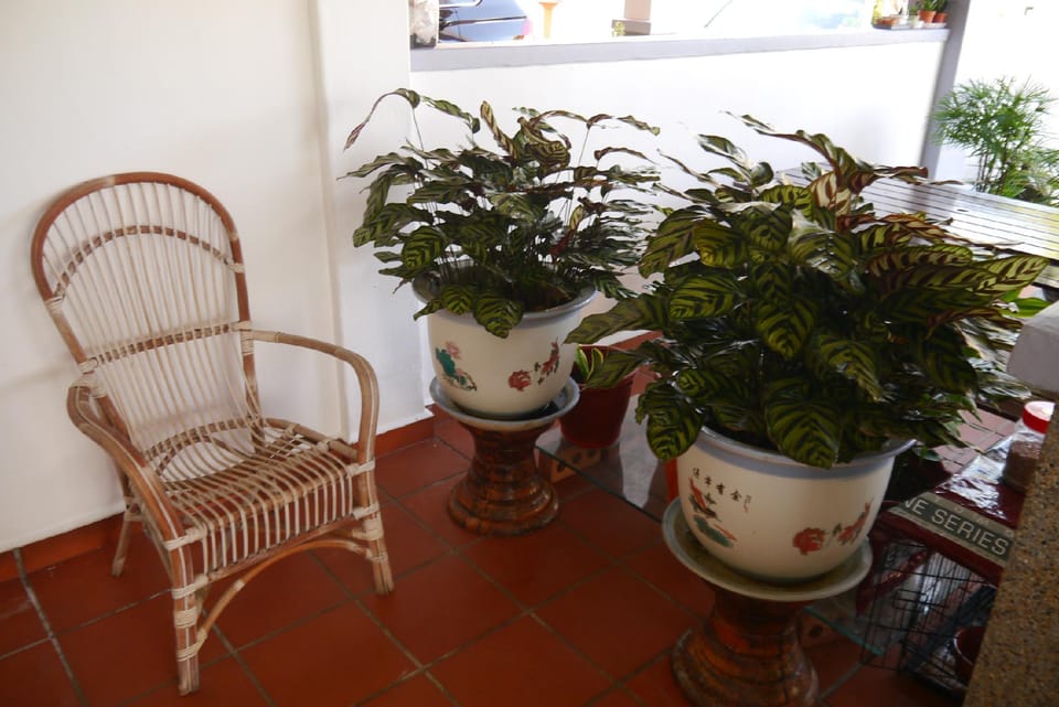 12 Yuan @ Cozy 4 Bedrooms & Secret Garden Vacation rental in Malacca