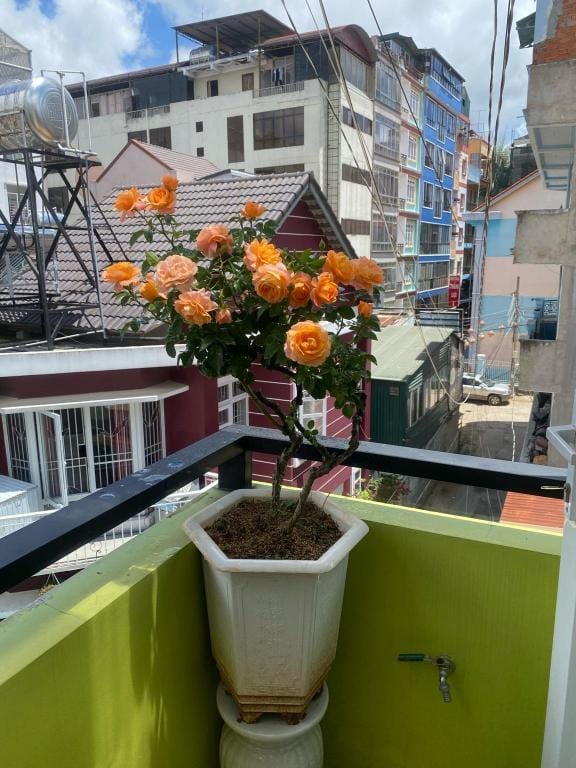 Khoi An house Vacation rental in Dalat