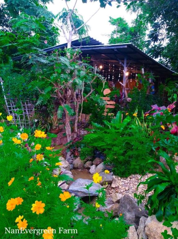 Nan Evergreen Countryhome Homestays Vacation rental in Laos