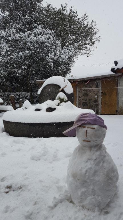 Seongsan Houses Vacation rental in South Korea