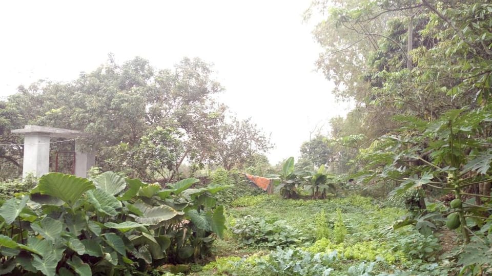 Hoang Homestay Vacation rental in Laos