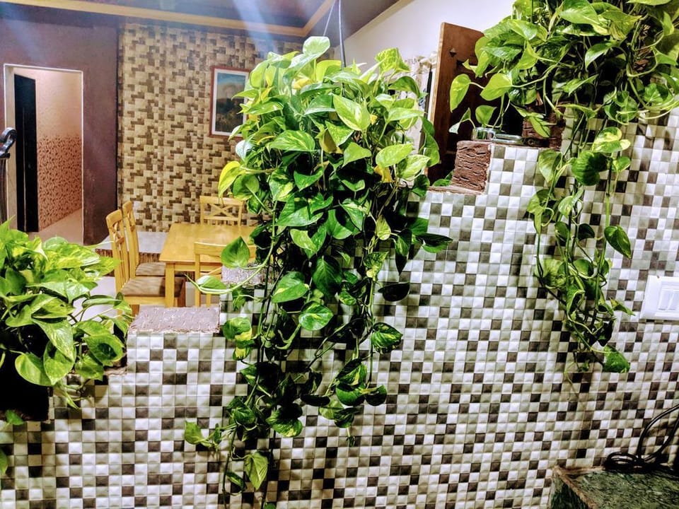 Ivy Orchids Villa - 3 BHK Private Villa Lonavala Villa in Lonavla